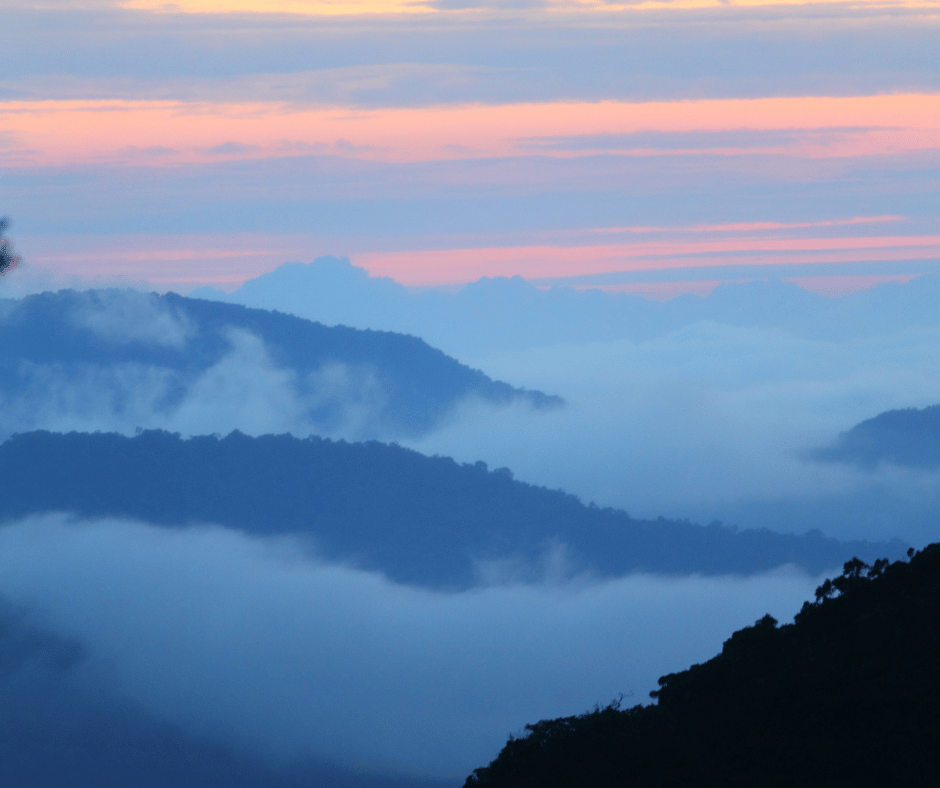 Cameron Highlands